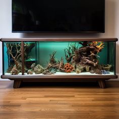 an aquarium with rocks and corals in front of a flat screen tv mounted on the wall