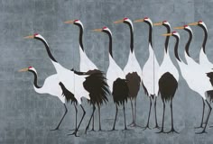 a group of cranes standing next to each other