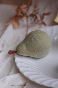 a piece of fruit sitting on top of a white plate next to a leafy plant