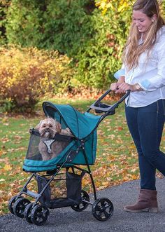 a woman pushing a stroller with a small dog in it