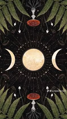 the moon is surrounded by plants and other things that are on display in this poster