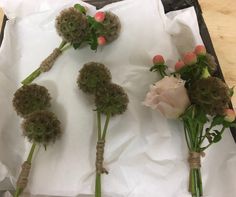 flowers are arranged on top of white paper and tied in twine to each other