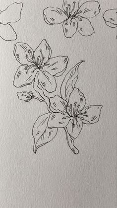 an ink drawing of flowers on paper