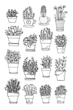 potted plants are drawn in black and white