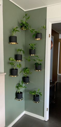 there are many potted plants in the corner of this room, and one is hanging on the wall