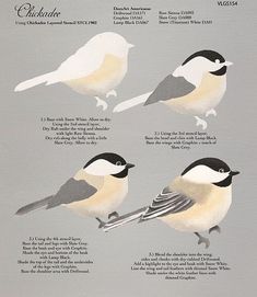 three different birds are shown on a gray and white background with words describing their names