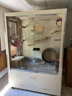 a display case with various items in it on top of a carpeted floor next to a wall