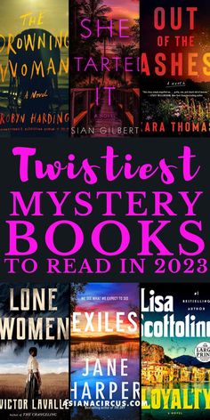 the best mystery books to read in 2013