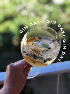 a person holding up a wine glass with gin in it and the words gin day on it