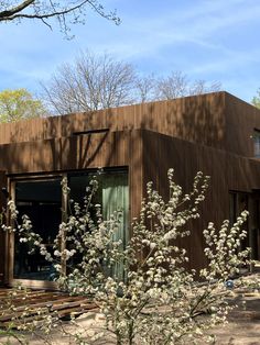 a brown building sitting next to a tree with white flowers on it's branches