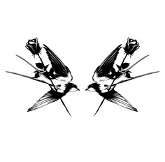 two black and white birds with roses in their beaks, facing each other on a white background