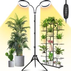 a tripod light stands next to potted plants in front of a yellow background