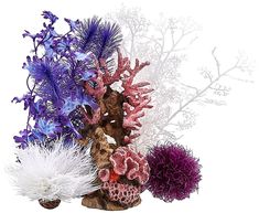 an arrangement of corals and seaweed on a white background