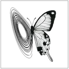 a black and white drawing of a butterfly