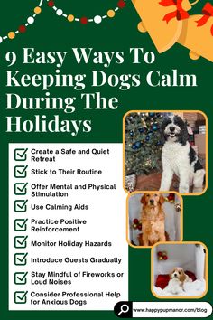 a flyer for the holiday dog training program