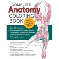 the complete anatomy coloring book with instructions for beginners to learn how to use it