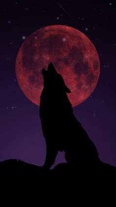 a wolf sitting on top of a hill with the moon in the background