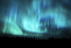 the northern lights shine brightly in the night sky over trees and snow covered ground,