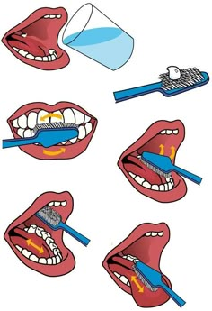 How To Brush Your Teeth, Sequencing Activities Kindergarten, Dental Health Activities, Hand Washing Poster, Body Parts Preschool, Brush Teeth, Preschool Activities Toddler, Brush Your Teeth