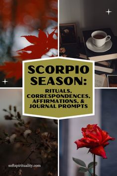 a collage of photos with the words scorpio season, rituals, courrfances, affirm