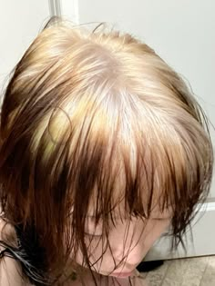 white ghost roots | calico cat hair Calico Hair Blonde Base, Blonde Hair Black Bangs, Ghost Hair Color, Ghost Roots Short Hair, Blonde Ghost Roots, Ghost Roots Curly Hair, Calico Hair Dye Short, Cute Hair Dye, Bleached Roots