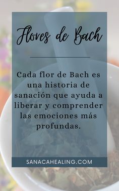 Cada flor de Bach es una historia de sanación que ayuda a liberar y comprender las emociones más profundas. Reiki, Healing, Floral