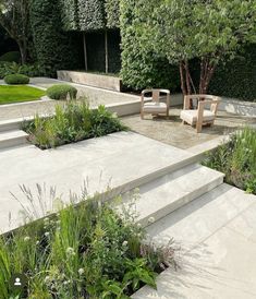 an outdoor garden with steps and plants