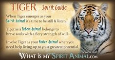 a tiger with an animal poem written on it's face and the words, what is my spirit animal?