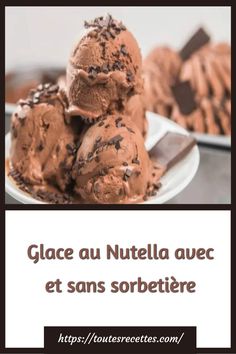 three scoops of chocolate ice cream on a plate with the words glace au nutella avec et sans sorbetire