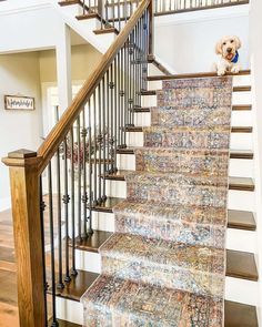 a dog is sitting on top of the carpeted stairs in a house with wood handrails