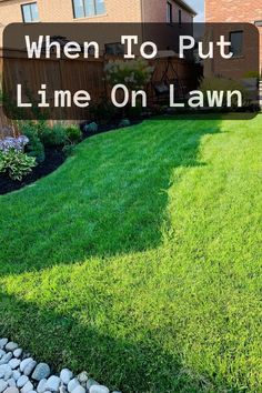 When To Put Lime On Lawn Lime For Lawns, Benefits Of Lime, Fall Lawn Care Tips, Green Grass Tips Lawns, Reseeding Lawn Fall, Lawn Care Diy, How To Fix Patchy Grass Lawn, Lawn Leveling