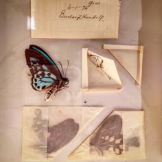 some butterflies and papers on a table