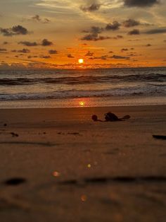 the sun is setting over the ocean with people on the beach and in the water