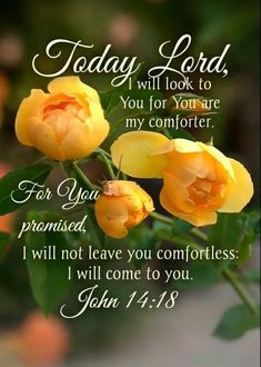 yellow roses with the words today lord, you will look to my comforter