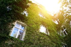 an old building with ivy growing on it's side and windows in the front