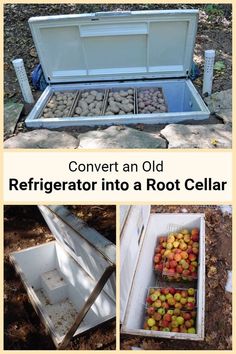 an old refrigerator sitting on the ground with apples in it