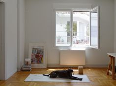 a black dog laying on top of a rug in a living room next to a window