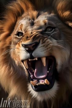 an angry looking lion with its mouth open