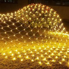 a wire fence covered in lights next to a bush