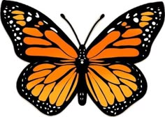 an orange and black butterfly with white spots