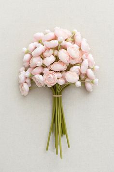 a bouquet of pink flowers on a white background