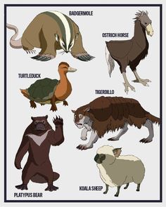 an animal chart with different types of animals