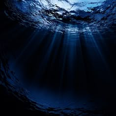 an underwater view of the ocean with sunbeams and light rays coming from above