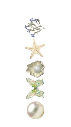 three seashells, one starfish and the other pearl on a white background