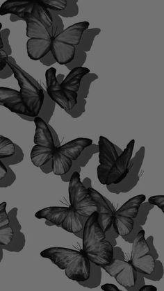 black and white butterflies flying in the air with their shadows on it's wings