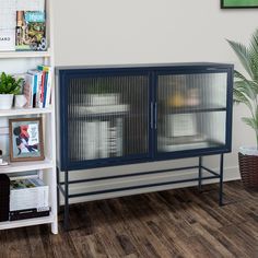 a living room with a book shelf and a large bird cage on the wall next to it