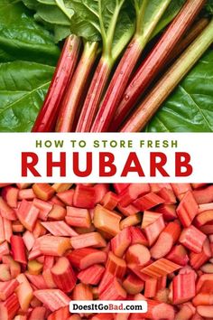 rhubarb with the words how to store fresh rhubarb on it