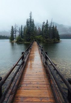 a long wooden dock sitting on top of a lake next to a lush green forest