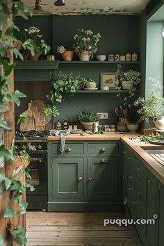 a kitchen with green cabinets and wooden flooring, plants on the shelves above the stove