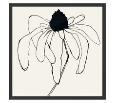 a black and white drawing of a flower in a square frame with the words,